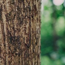 Sustainable Materials